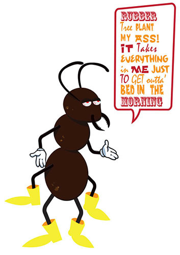 Ant