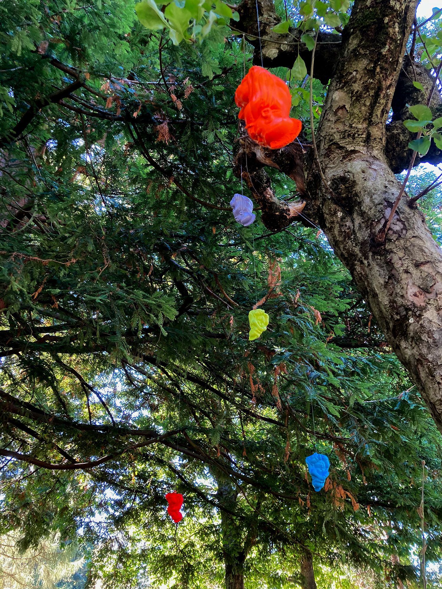 Tree1