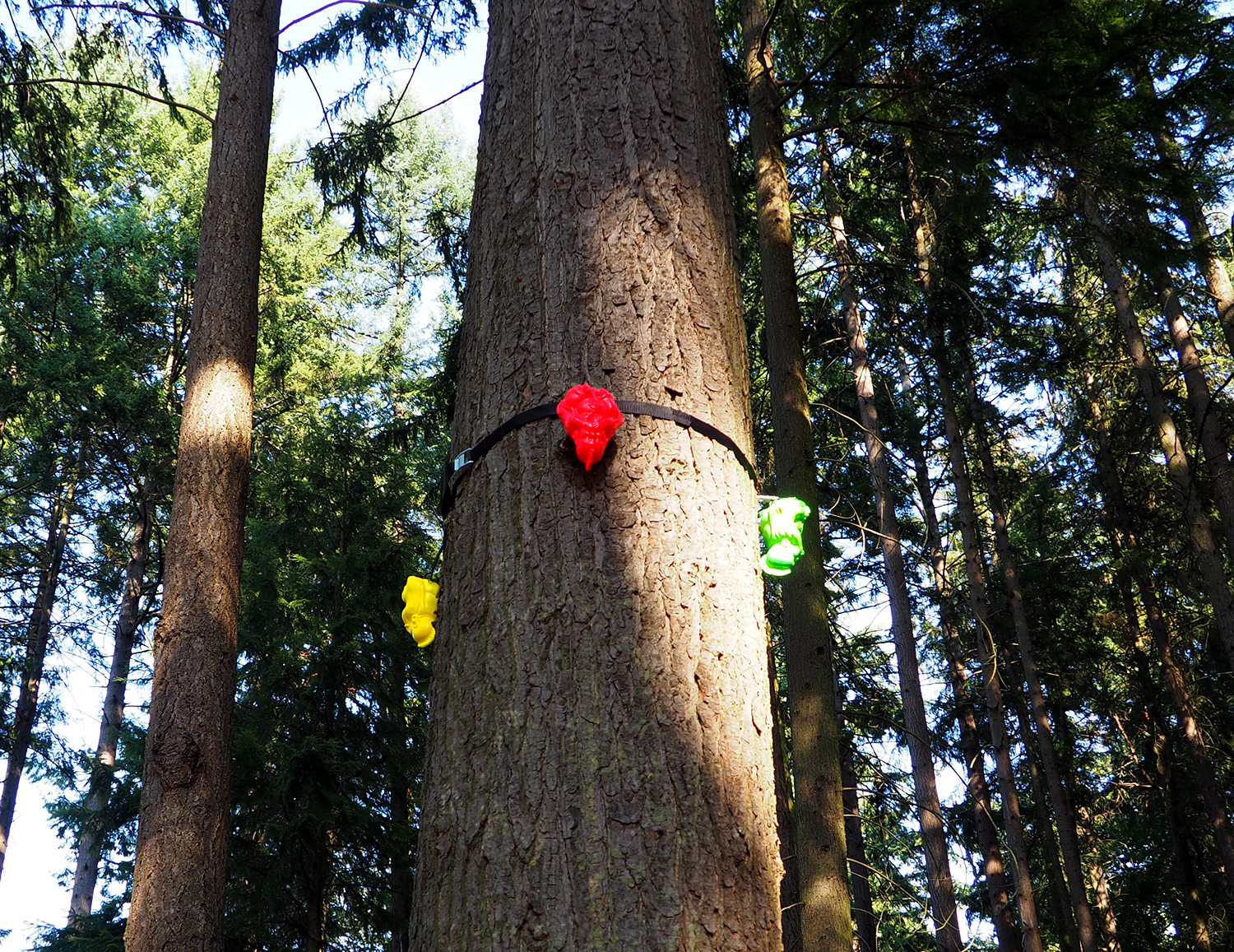 Tree2