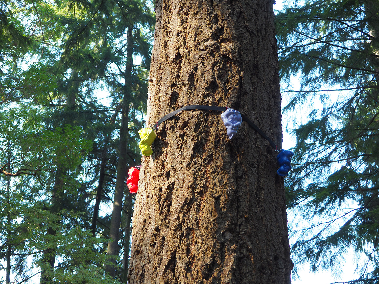 Tree3