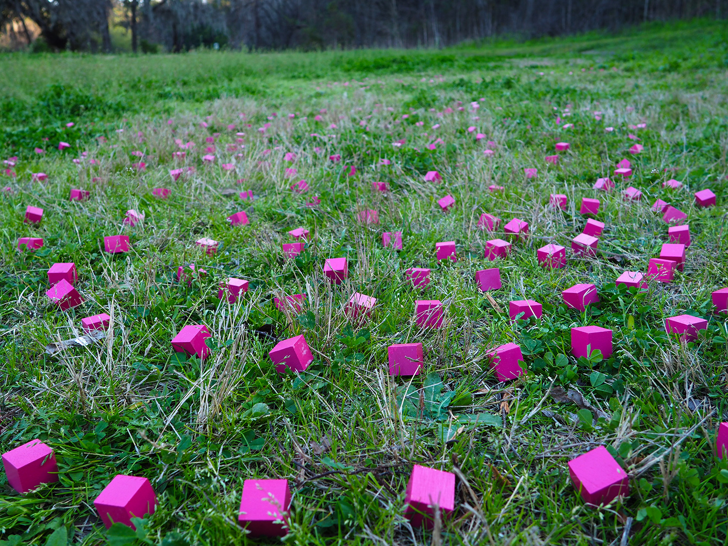 Cube