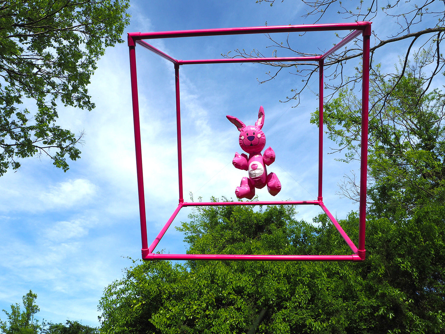 Rabbits
