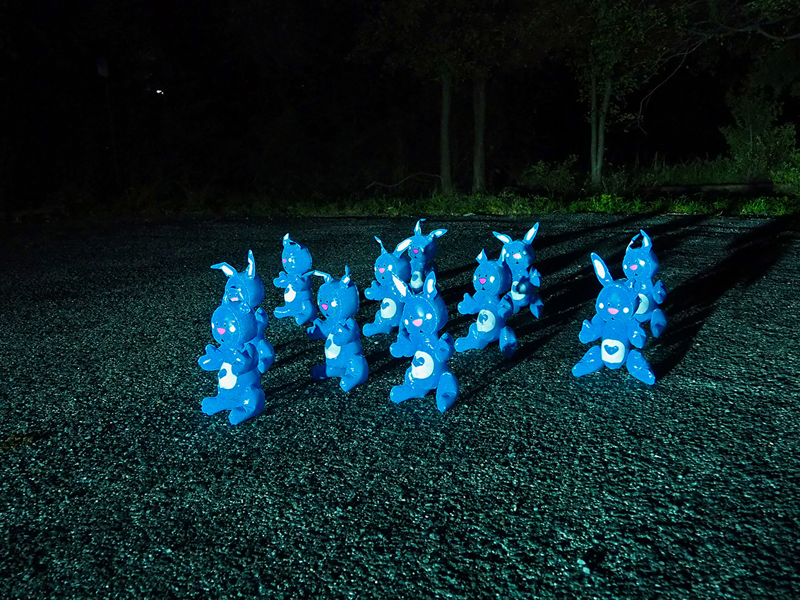 Rabbit
