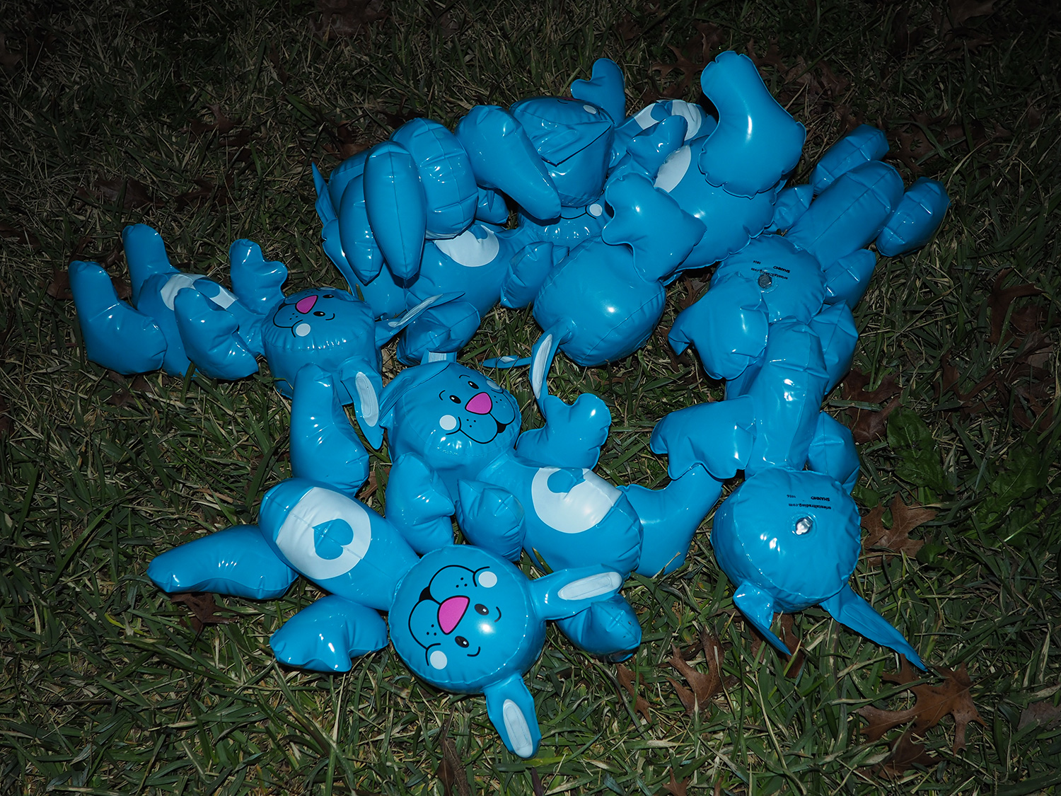 Rabbits5!