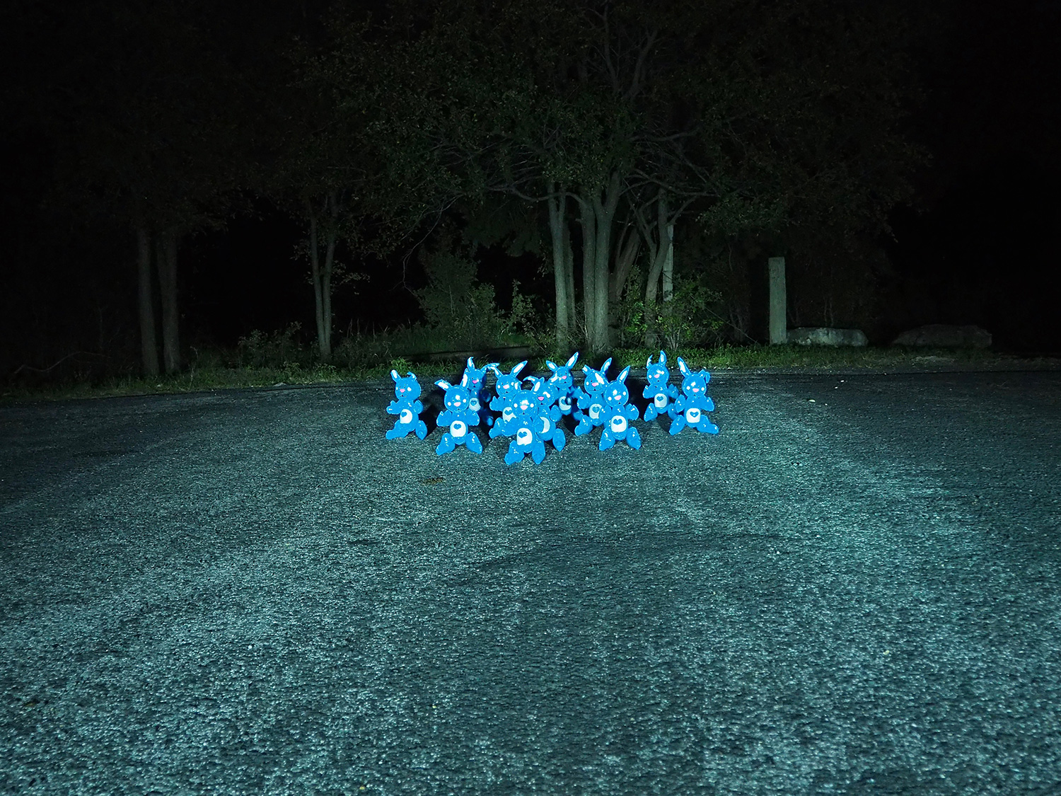 Rabbits6!
